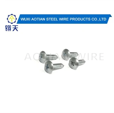Tornillos autorroscantes galvanizados.