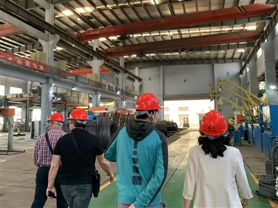 Cliente turco viene a visitar nuestra empresa